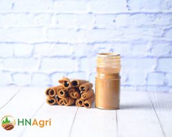 HN-Cinnamon-Factory-Provides-The-Best-Vietnamese-Cinnamon-1