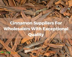 cinnamon-suppliers-for-wholesalers-with-exceptional-quality