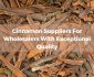 cinnamon-suppliers-for-wholesalers-with-exceptional-quality