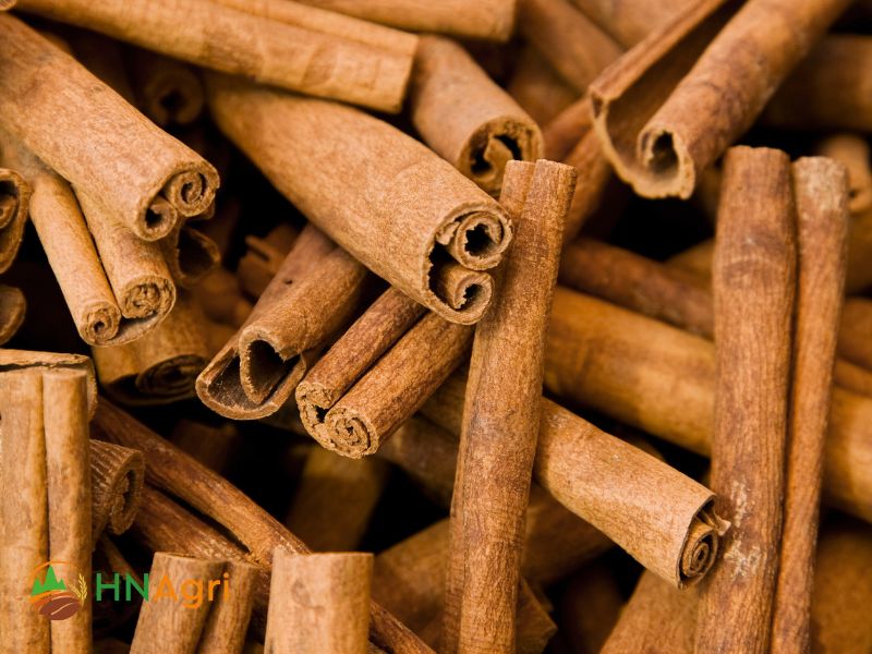 cinnamon-suppliers-for-wholesalers-with-exceptional-quality-1