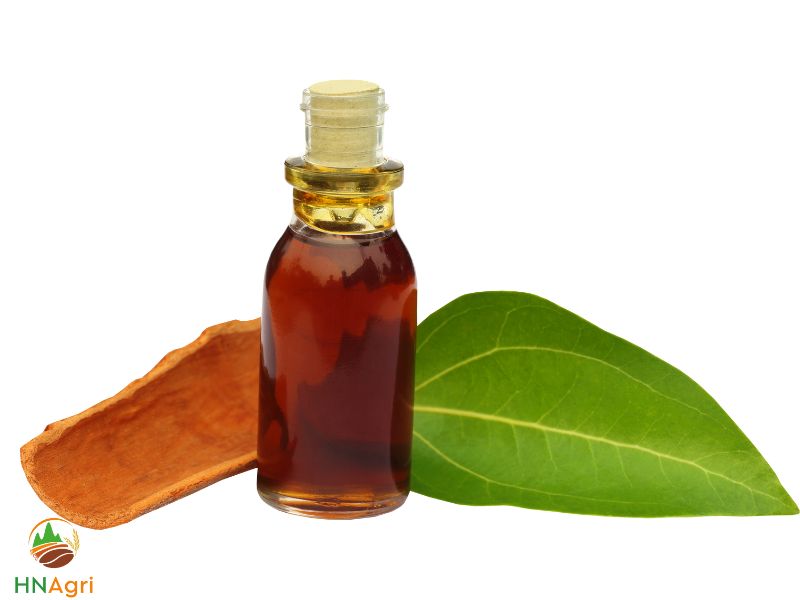 discover-the-uses-and-surprising-benefits-of-cinnamon-leaves-2